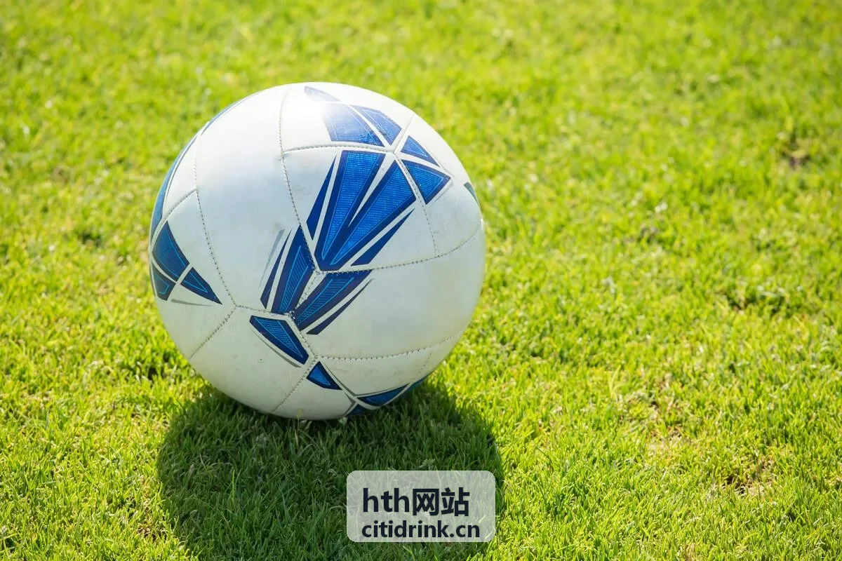 hth网站城市品牌活动现场布置